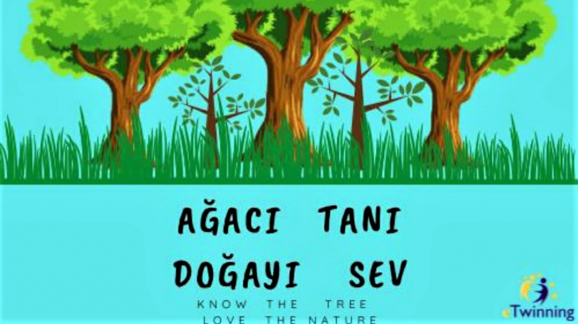 Yeşi vatan projesi uygulaması